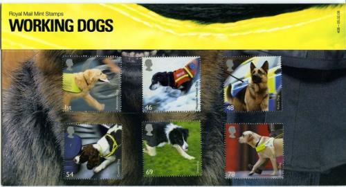 2008 Working Dog pack
