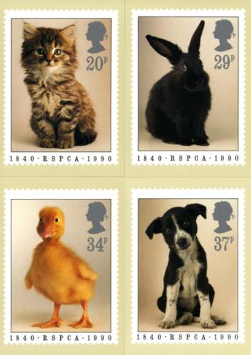 PHQ123 1990 RSPCA