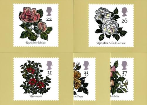 PHQ136 1991 Roses