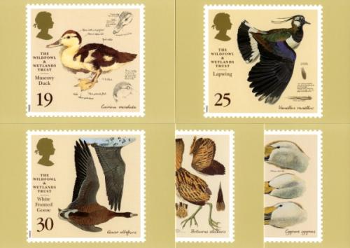PHQ177 1996 Wildfowl