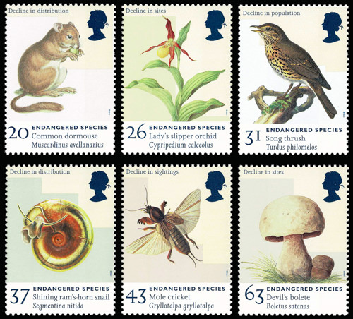 1998 Endangered Species Stamps